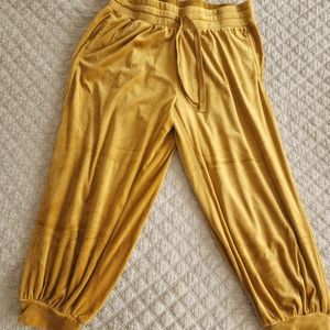 Merida Velvet Joggers